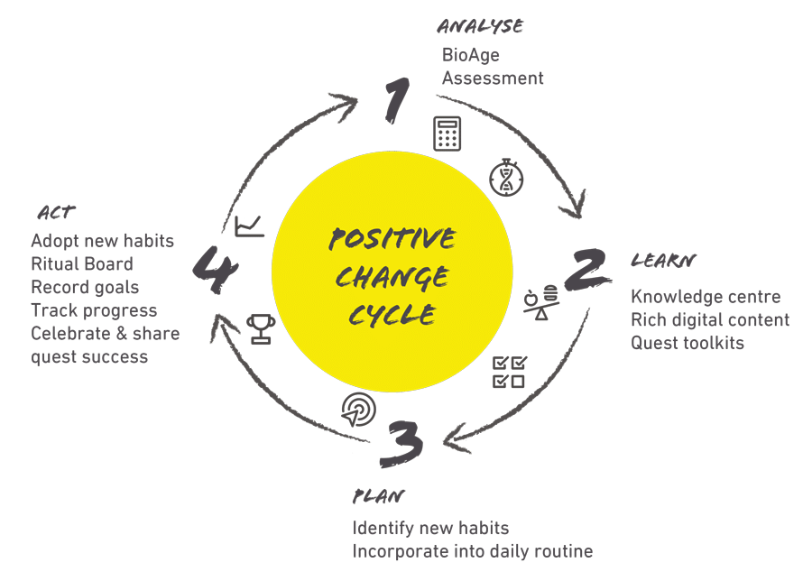 Ritualize Positive Change Cycle